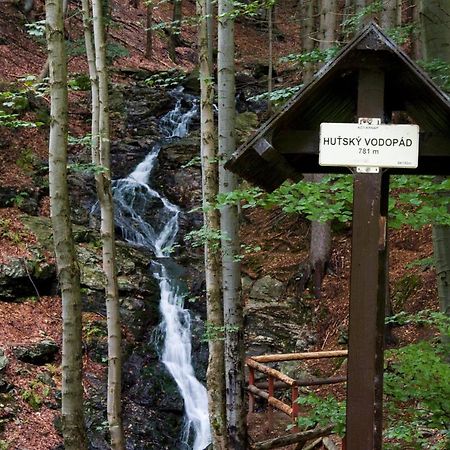 Apartmán mezi stromy Rokytnice nad Jizerou Kültér fotó