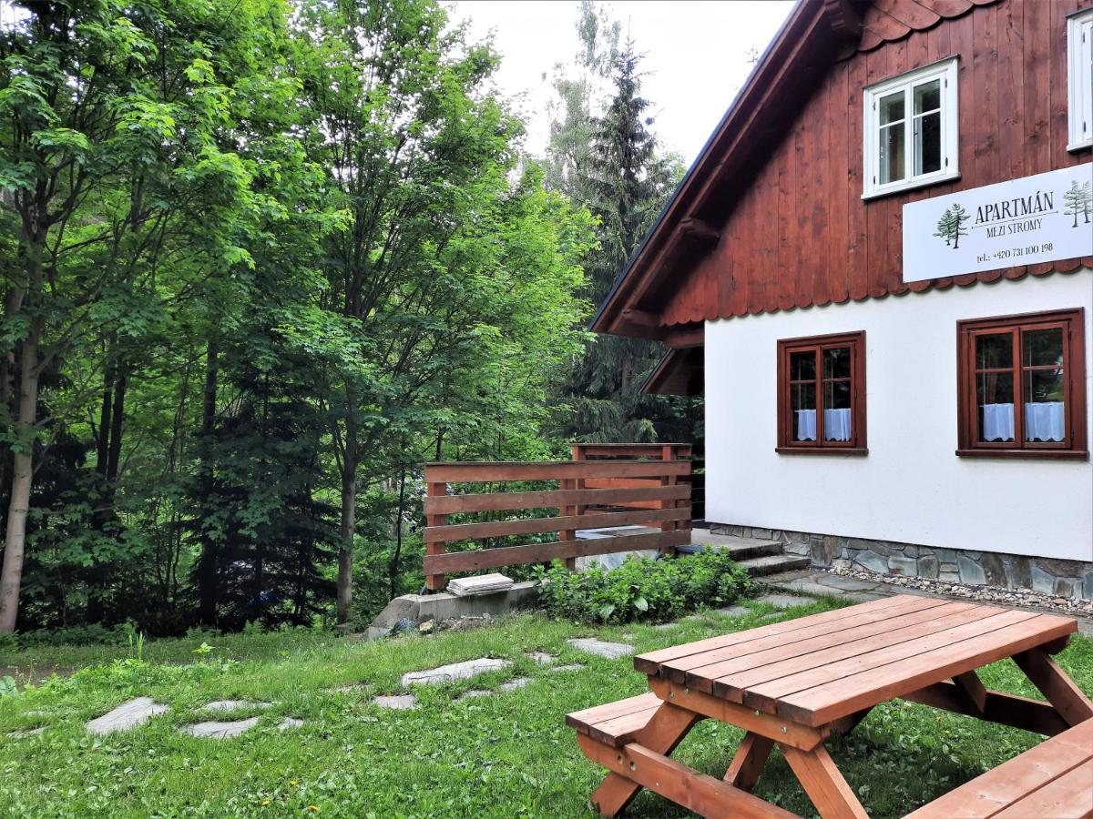 Apartmán mezi stromy Rokytnice nad Jizerou Kültér fotó