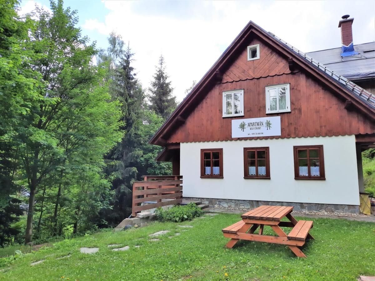 Apartmán mezi stromy Rokytnice nad Jizerou Kültér fotó