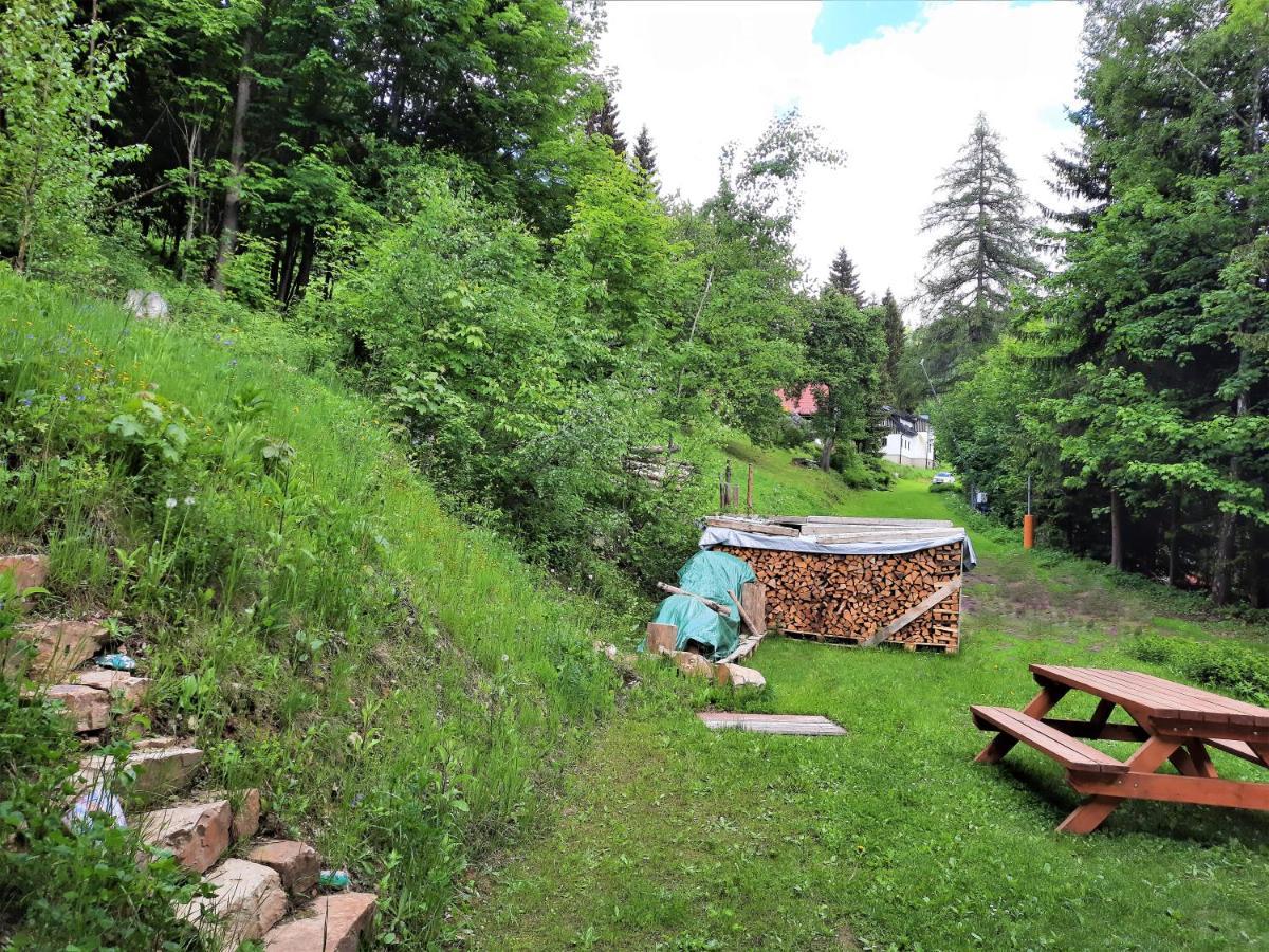 Apartmán mezi stromy Rokytnice nad Jizerou Kültér fotó