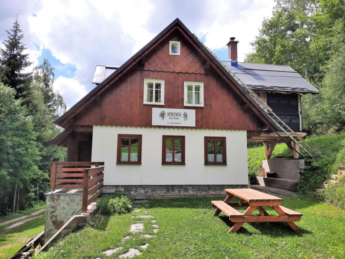 Apartmán mezi stromy Rokytnice nad Jizerou Kültér fotó